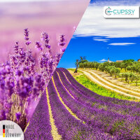 Lufterfrischer Spray Schrankduft & Schublade Lavendel Parfüm Duft - Cupssy AirSpray