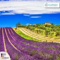 Lufterfrischer Spray Schrankduft & Schublade Lavendel Parfüm Duft - Cupssy AirSpray