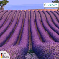 Lufterfrischer Spray Schrankduft & Schublade Lavendel Parfüm Duft - Cupssy AirSpray