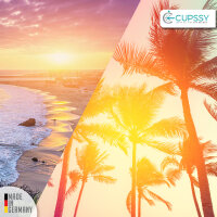 Lufterfrischer Spray  Schrankduft & Schublade California Scents Parfüm Duft - Cupssy AirSpray