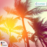 Lufterfrischer Spray  Schrankduft & Schublade California Scents Parfüm Duft - Cupssy AirSpray