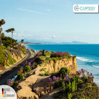 Lufterfrischer Spray  Schrankduft & Schublade California Scents Parfüm Duft - Cupssy AirSpray