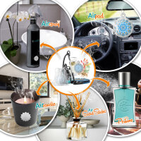 Staubsauger Duft Capodimonte Parfüm Duft - Cupssy AirPad