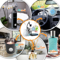 Staubsauger Duft Creed Aventus Parfüm Duft - Cupssy SET AirPad + AirSpray