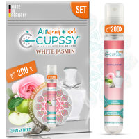 Autoduft: Secret of Zara Home White Jasmin ...